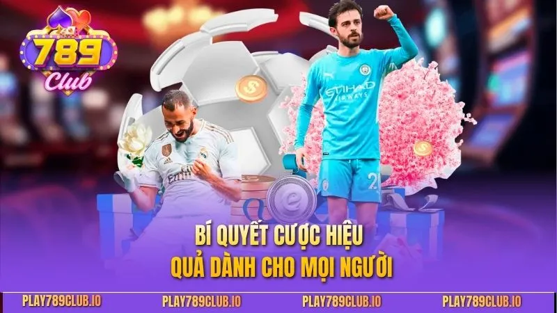 Bí quyết cược hiệu quả dành cho mọi người