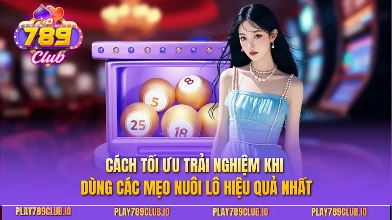 Cách tối ưu trải nghiệm khi dùng các mẹo nuôi lô hiệu quả nhất